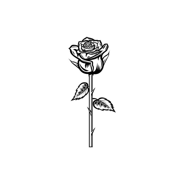 Vintage mustavalkoinen kukkiva ruusu konsepti valkoisella taustalla eristetty kukka kasvitieteellinen kukka. Villi kevään lehti luonnonvaraisten kukkien vektori kuva. Ruusut elementti Idea käyntikortti, typografia vektori, tulosta t-paita. - Vektori, kuva