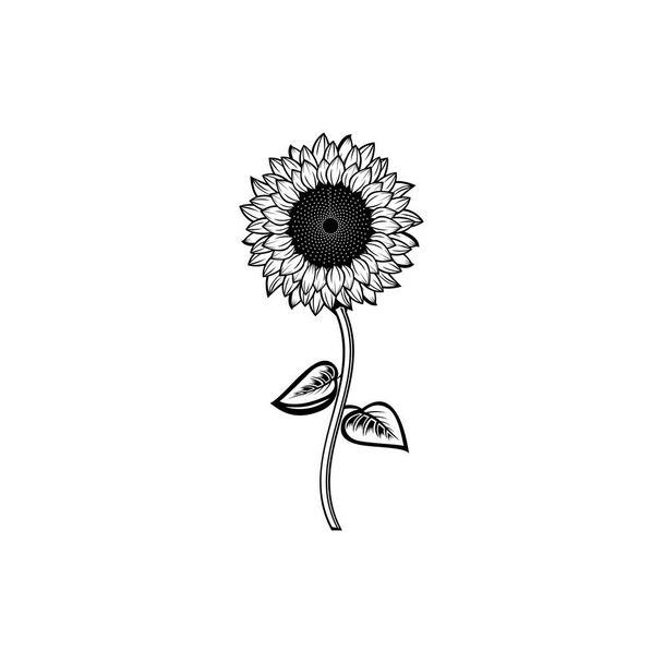 Vintage zwart-wit bloeiende zonnebloemen concept op witte achtergrond geïsoleerd. Wild zomer exotische blad wilde bloem vector illustratie. Grote zonnebloem element Idee voor visitekaartje, typografie vector, print voor t-shirt. - Vector, afbeelding