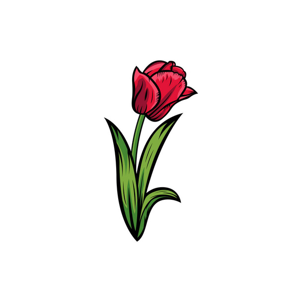 白い背景にヴィンテージの赤い開花チューリップのコンセプト孤立した花の植物の花。野生の春の葉の野草ベクトルイラスト。名刺、タイポグラフィベクトル、 Tシャツの印刷のためのアイデア. - ベクター画像