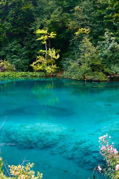 Turquoise lake - Photo, Image