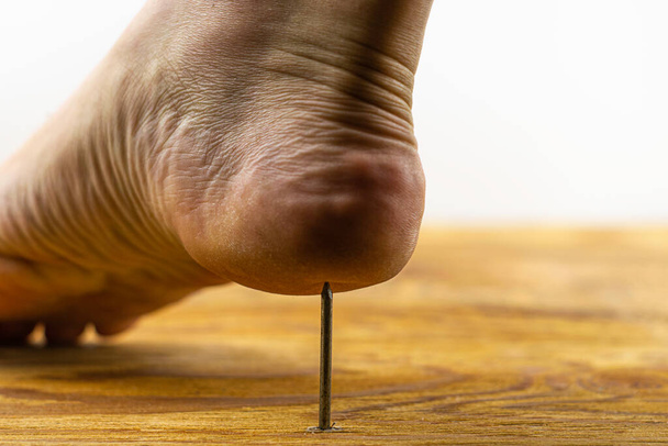 le pied est livré avec un talon sur un clou qui pousse à partir d'une surface en bois - Photo, image