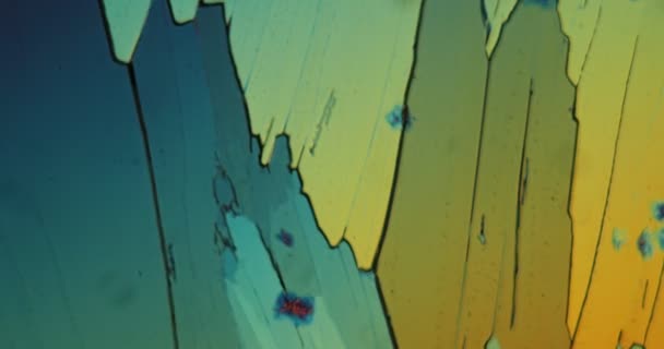 värikkäitä ureakiteitä polarisoituneessa valossa kiertää mikroskoopin alla - Materiaali, video