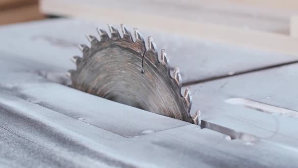 Closeup of circular saw in a artisan workshop. - Footage, Video
