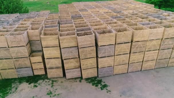 Boîtes en bois vides pliées dans des entrepôts, les boîtes sont conçues pour la récolte des fruits et légumes - Séquence, vidéo