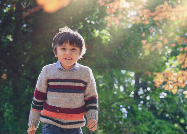 Aktiivinen poika iloinen kasvot hauskaa juoksentelee vihreällä ruoholla, Terve poika poika yllään värikäs hyppääjä leikkii ulkona puistossa, Ulkona toimintaa lapsille puoli aikavälin tauko syksyllä - Valokuva, kuva