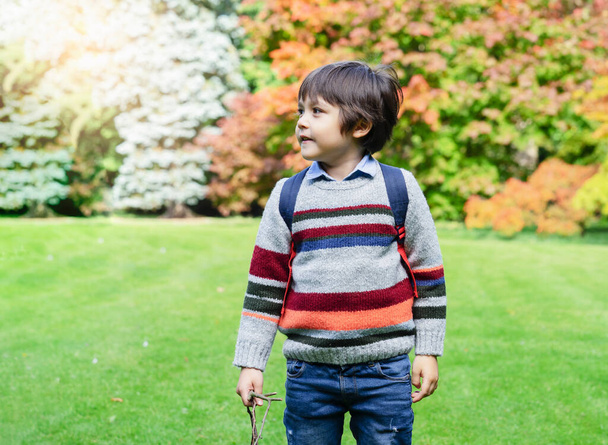 Portrait glücklicher Junge mit lächelndem Gesicht, der an sonnigen Herbsttagen im Park spaziert, aktives Kind mit Rucksack, das Spaß beim Spielen hat und sich für Abenteuer im Herbstwald begeistert - Foto, Bild