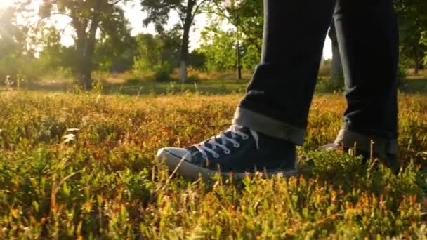 Wandelende vrouw wandelt in kleurrijke zonnestralen herfst bos natuur. Zijaanzicht van reiziger wandelaar wandelen in denim sneakers, jeans op groen rood gras zomerdag, gele zonnestralen effect.Actieve levensstijl mensen - Video