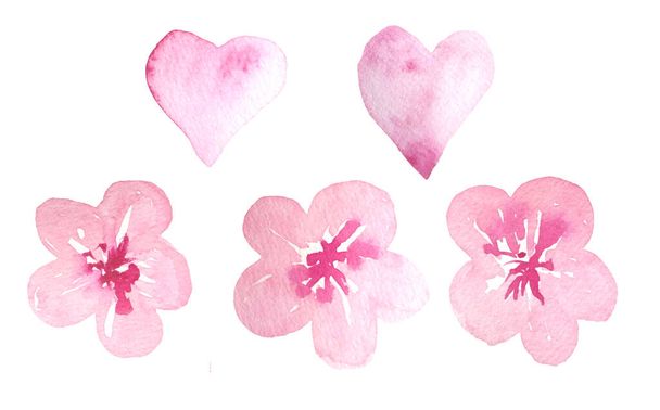 Watercolor hand drawn set collection of pink cherry sakura blossom and elegant hearts. Japanese chinese plant flowers asian concept, love st valentines day feelings. For decoratio celebration design - Fotó, kép
