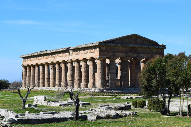 architettura antica di tempio greco ritrovato negli scavi archeologici di paestum sede di tanto turismo tutto l 'anno
 - Foto, Imagen
