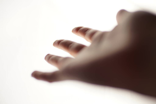 Female hand with palm up and spread fingers on a white background. Blurred soft focus. - Фото, изображение