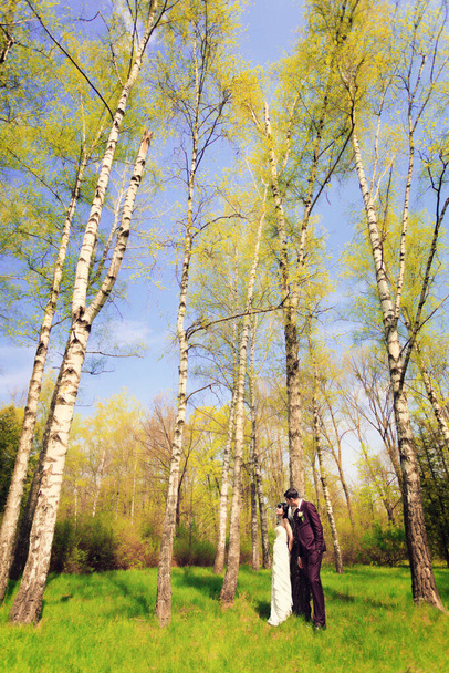 Wedding couple among blossoming trees, birch grove. - Photo, Image