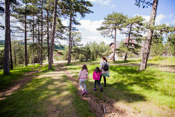Family enjoy nature, walking through forest , beautiful spring day - Фото, зображення