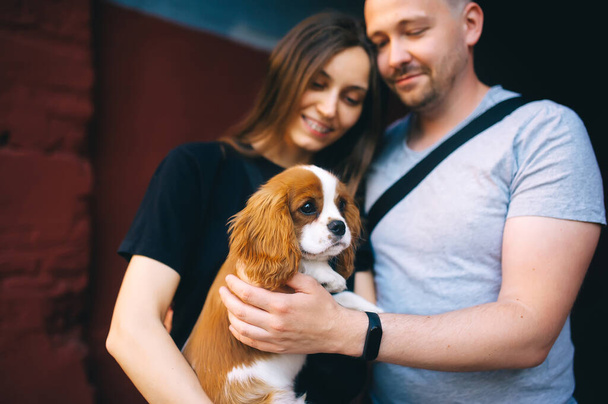 Young couple holding their King Charles spaniel puppy. Closeup portrait - Foto, immagini