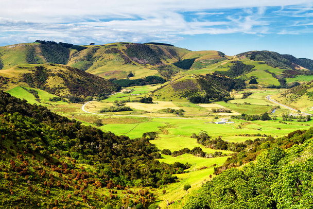 Schöne Aussicht auf Ackerland im Sommer auf Südinsel in Neuseeland - Foto, Bild