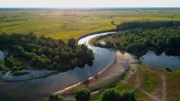 Luftaufnahme einer schönen Landschaft: Flussbäume Wald Feld Natur - Filmmaterial, Video