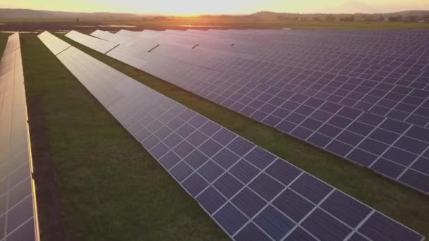 Vista aérea del campo verde con paneles de energía solar para la producción de electricidad renovable. - Imágenes, Vídeo