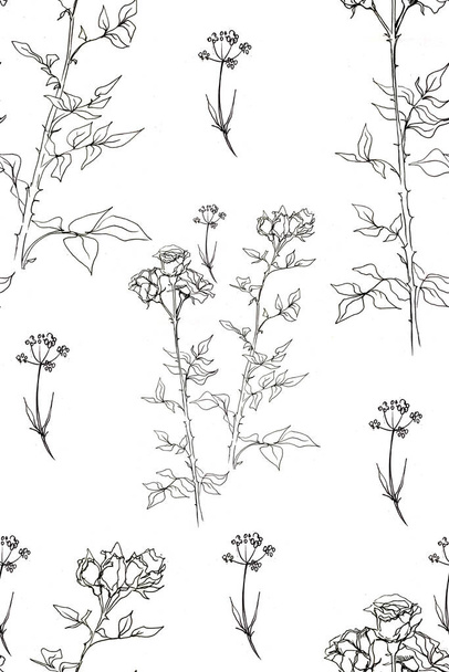 Seamless pattern with roses. Graphic hand-drawn illustration. Flora, botany, flowering, flowers, plants. Doodle style, sketch, retro, vintage. Wildflowers. - Φωτογραφία, εικόνα