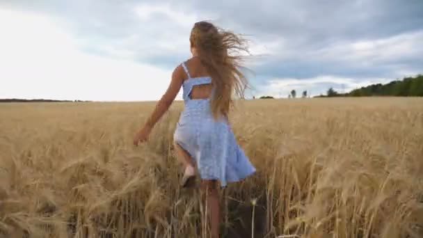 Follow to cute happy child in dress running through wheat field, turning to camera and smiling. Beautiful girl with long blonde hair jogging over the meadow of barley at overcast day. Slow motion - Imágenes, Vídeo