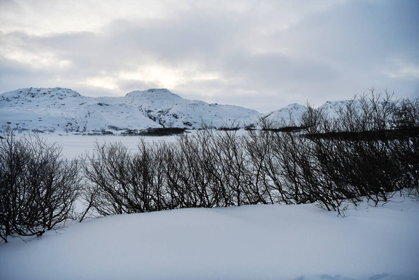 mesmerizing harsh winter landscapes of the arctic - Fotoğraf, Görsel
