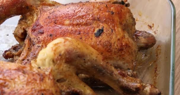Pollo fritto alla griglia da vicino - Filmati, video