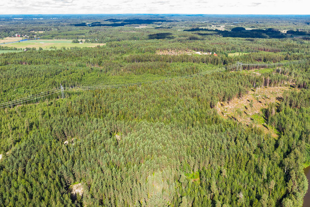 Levegő nyári kilátás a finn erdő, Finnország. - Fotó, kép
