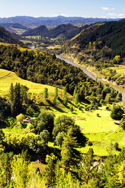 ニュージーランドの北島で夏の美しい丘陵地帯の景色 - 写真・画像