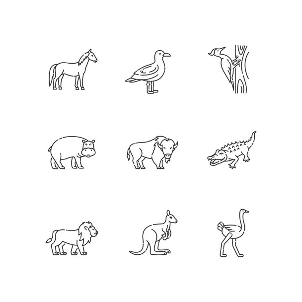 Létající a suchozemská zvířata pixel perfektní lineární ikony nastavit. Běžní ptáci a exotická volně žijící zvěř přizpůsobitelné tenké linie obrysu symboly. Izolované vektorové ilustrace. Upravitelný tah - Vektor, obrázek