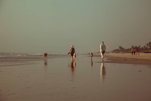 Walking dogs on beach at sunset - Фото, зображення