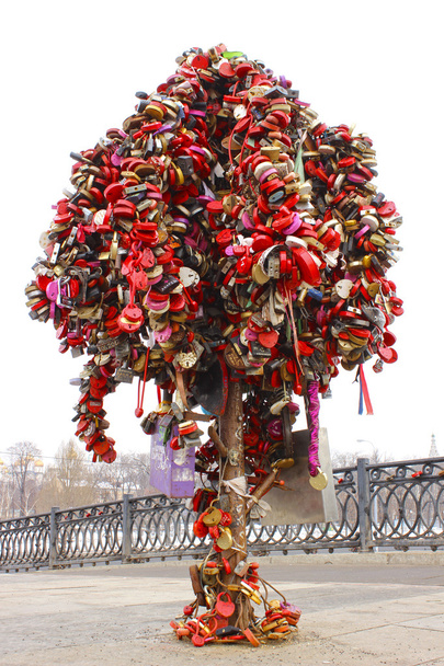 Дерево с запертыми свадебными замками
 - Фото, изображение