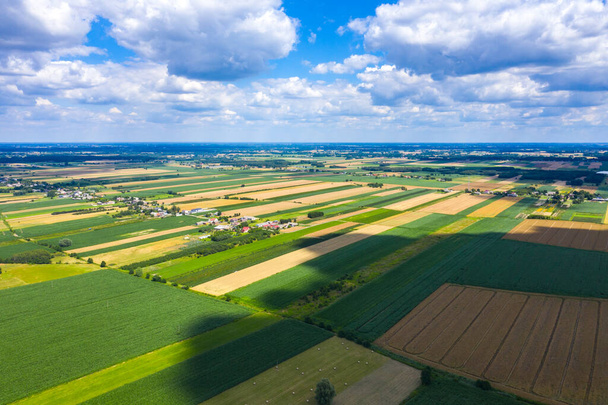 Paisagem agrícola aérea, campo grande pronto para colher vista aérea
 - Foto, Imagem