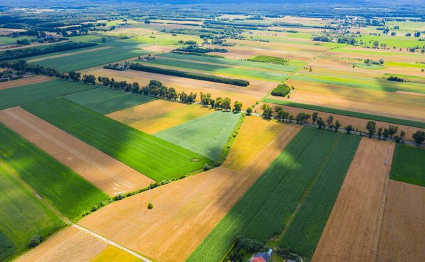 Krajobraz rolniczy z powietrza, Duże pole gotowe do zbioru widok z powietrza - Zdjęcie, obraz