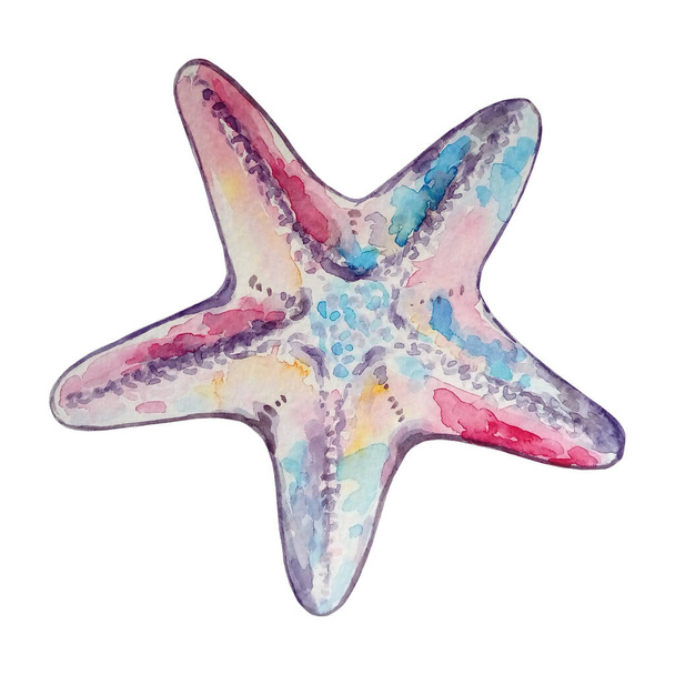 watercolor starfish pink blue on white background - Foto, Imagem
