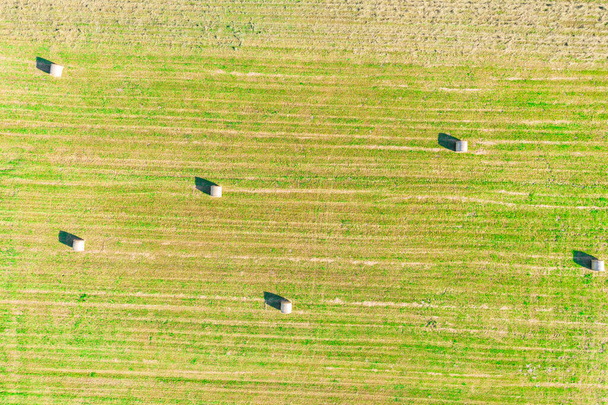 Foto de vista superior aérea de un avión no tripulado volador de una tierra con campos verdes sembrados en el campo en el día de primavera. Terreno con plantas cultivadas de arroz - Foto, Imagen