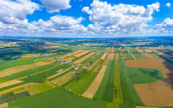Panoramic Aerial vast green field view - Agriculture field aerial photo - Green landscapes drone photo - Photo, Image
