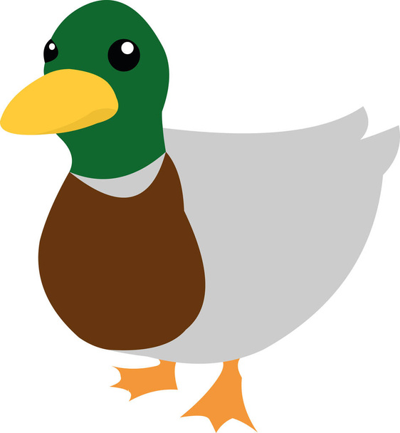 Ilustración vectorial de una caricatura de pato
 - Vector, Imagen