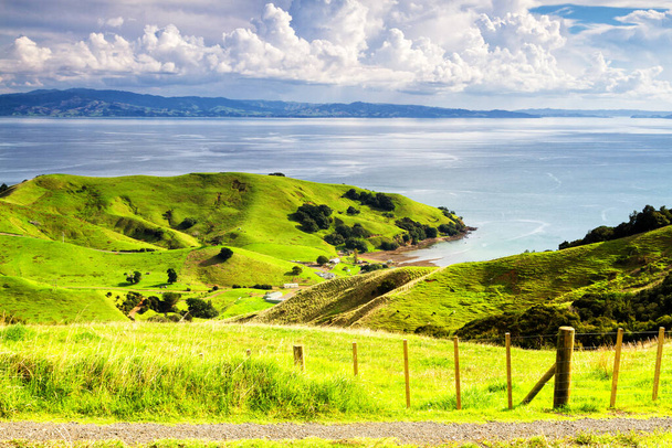 Campos agrícolas verdes rodantes bajo un cielo azul tranquilo en la isla norte de Nueva Zelanda, Península de Coromandel. Panorama colorido sobre los prados
. - Foto, imagen