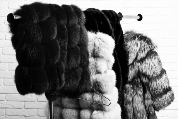 fashionable fur on hangers on brick wall studio background - Фото, зображення