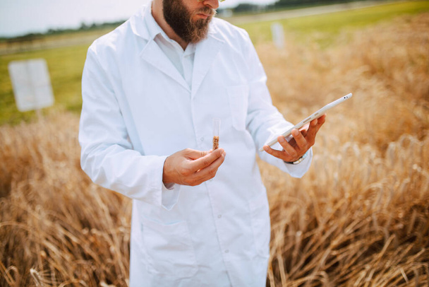 Close up of tablet computer in hand male caucasian technologist agronomist  in the field of wheat checking quality and growth of crops for agriculture. - Photo, Image