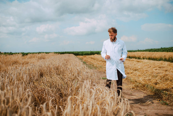 Plná délka mužského kavkazského technologa agronoma s tabletovým počítačem v oblasti kontroly kvality pšenice a růstu plodin pro zemědělství. - Fotografie, Obrázek