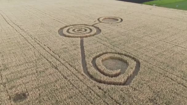 Таинственные мистические геометрические признаки посреди пшеничного поля. НЛО оставил следы в поле. Съемка с борта 4k - Кадры, видео