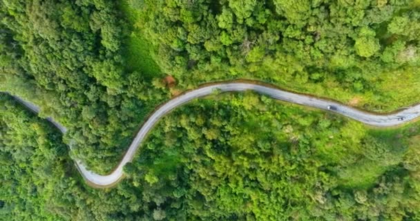 Αεροφωτογραφία του δρόμου σε βουνά και δάση. - Πλάνα, βίντεο
