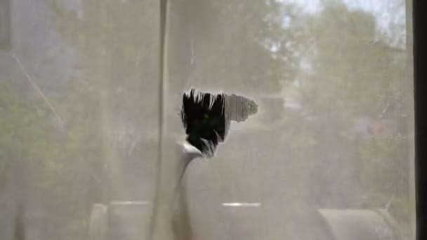 Un trou dans le tissu transparent de protection contre les insectes oscille dans le vent. - Séquence, vidéo