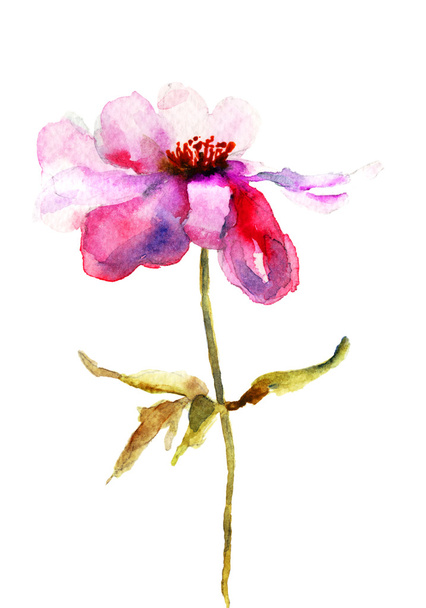 Beautiful Pink flower - Фото, изображение