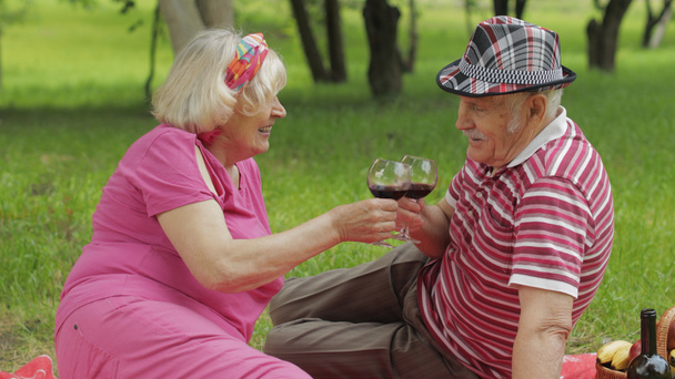 Családi hétvégi piknik a parkban. Idős pár ül a takarón és bort isznak. Csókolózni. Szerelem - Fotó, kép