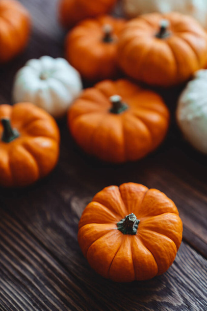 Diverse assortment of pumpkins on a wooden background. - Photo, Image