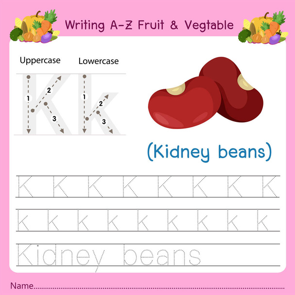 Ilustrador de escrever a-z Fruit & Vagetable K
 - Vetor, Imagem