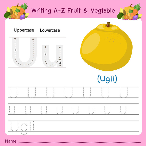 Illustratore di scrittura a-z Fruit & Vagetable U - Vettoriali, immagini