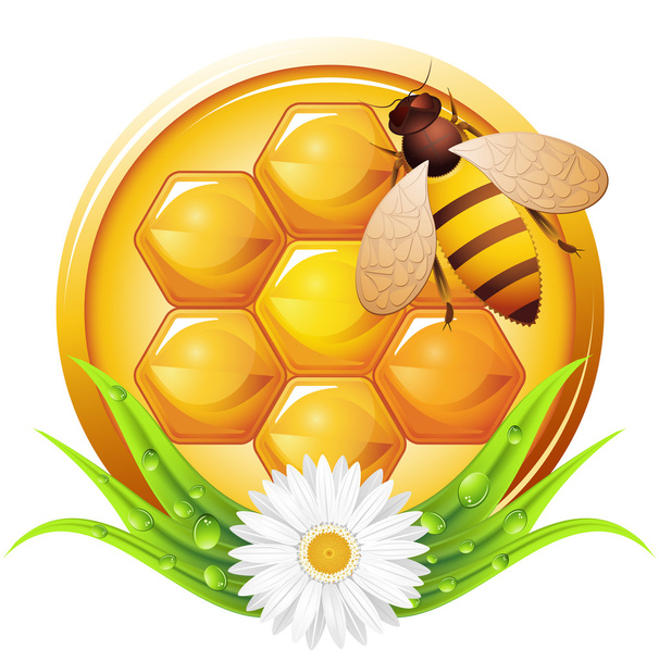 Honey - Vector, afbeelding
