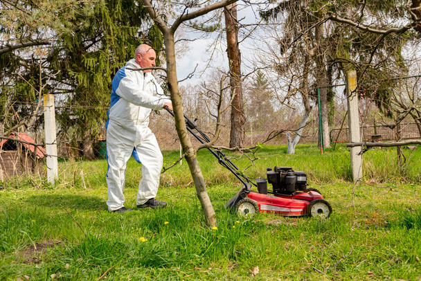 Zahradník v ochranné kombinéze seká trávu na dvorku s motorovou sekačkou mezi ovocnými stromy. - Fotografie, Obrázek