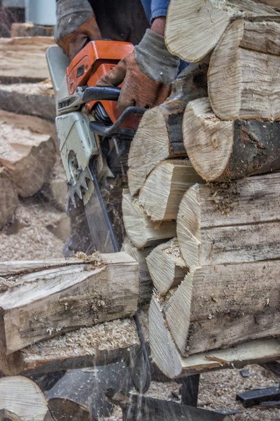 3 チェーンソーによる木材の切削杭 - 写真・画像